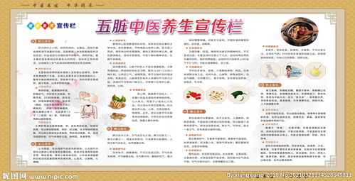 五臟中醫(yī)養(yǎng)生 調(diào)和陰陽，身心和諧